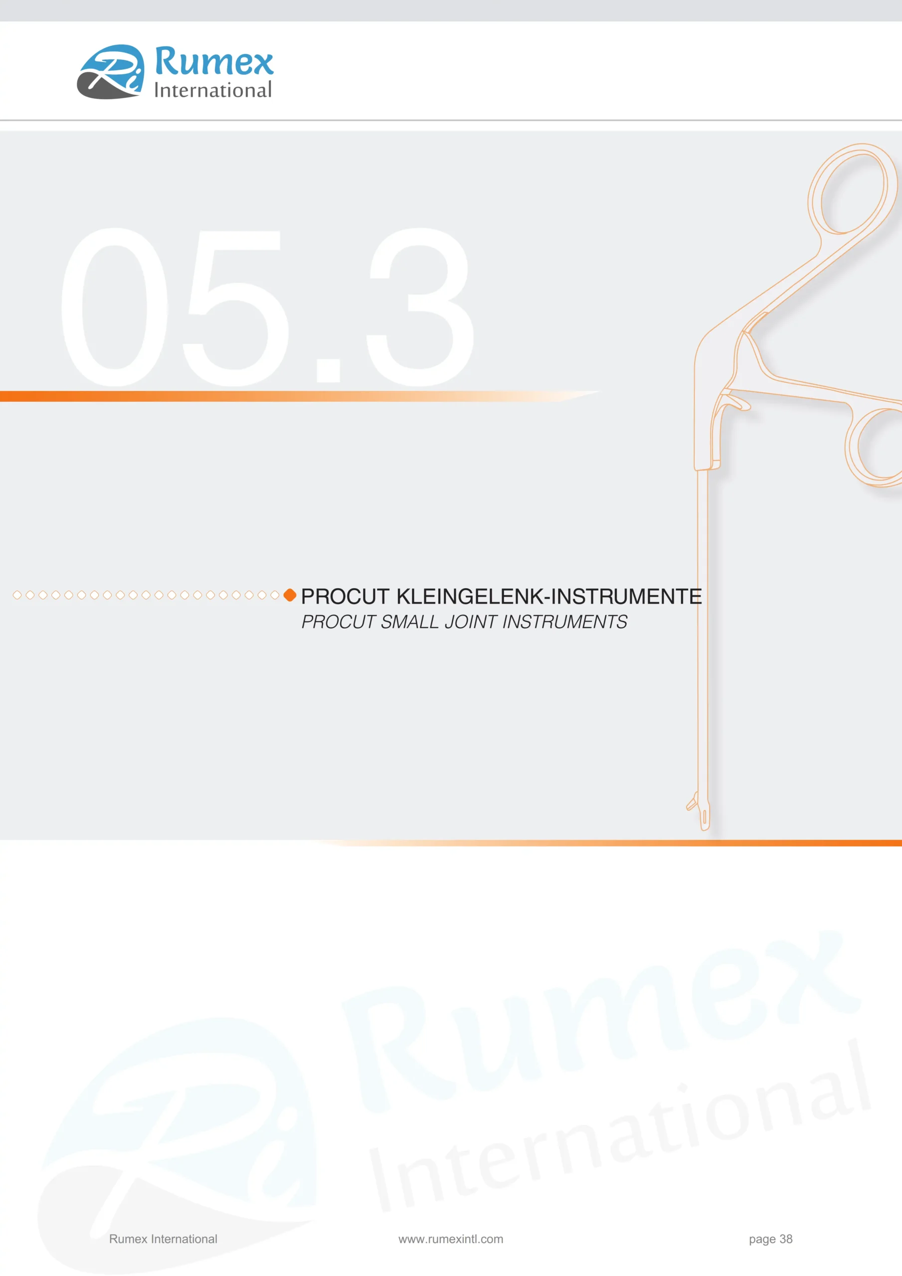 Rumex_Final_Arthroscopy_038