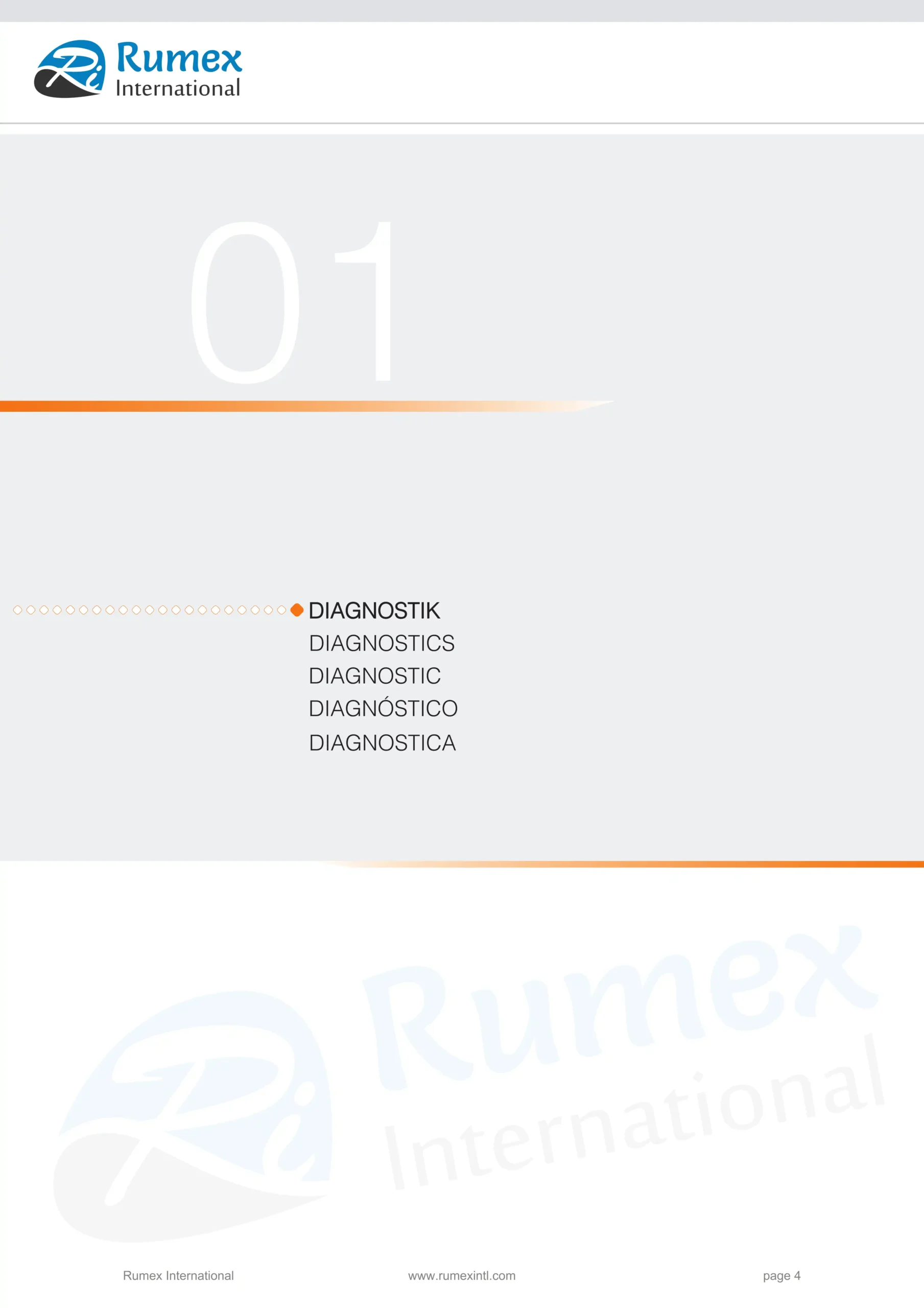 1- diagnostics - rumex international (1)